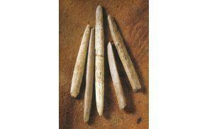 Konice iz kosti in rogovine z Brega pri Škofljici